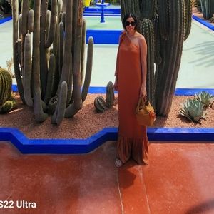Diarrablu Dress